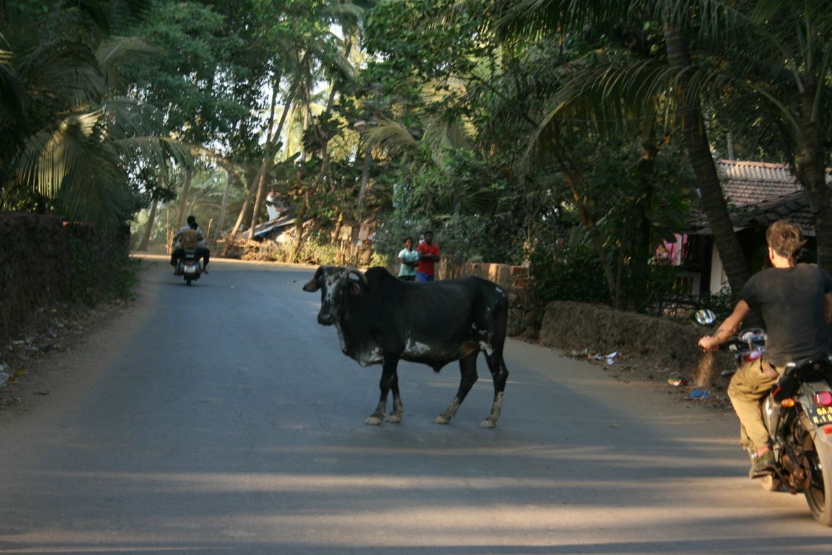 Оксана Наконечная ksun | Москва