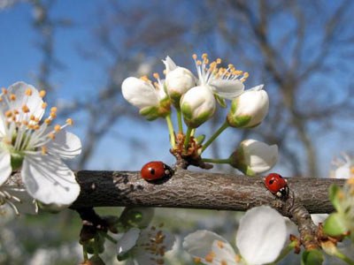 Юра Пучков | Одесса