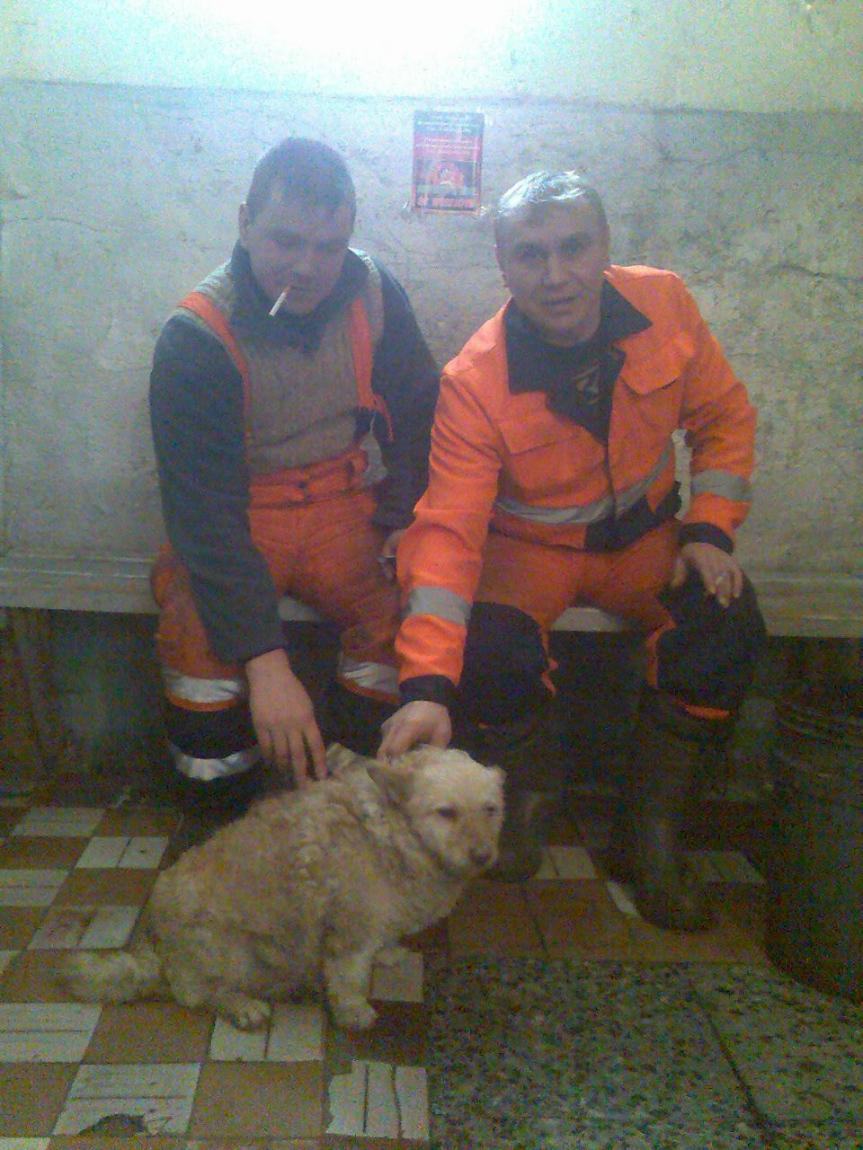 Владимир Петров | Пудож