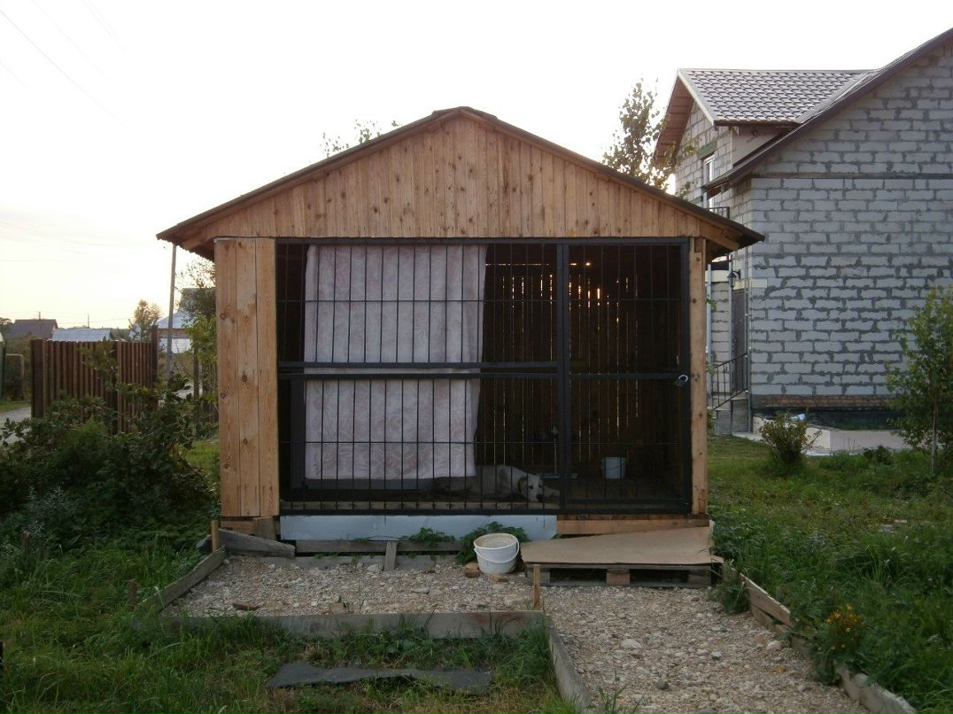 Виталий Кириллов | Великий Новгород