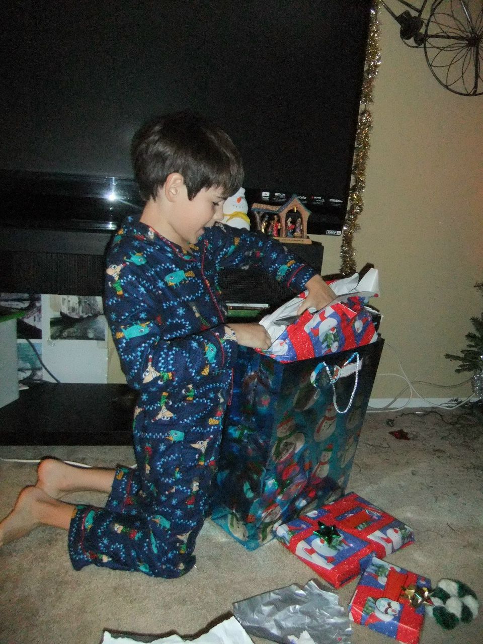 Дарина Андерсен | Scottsdale