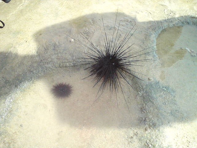 Адель Закиров Ринатович | Казань