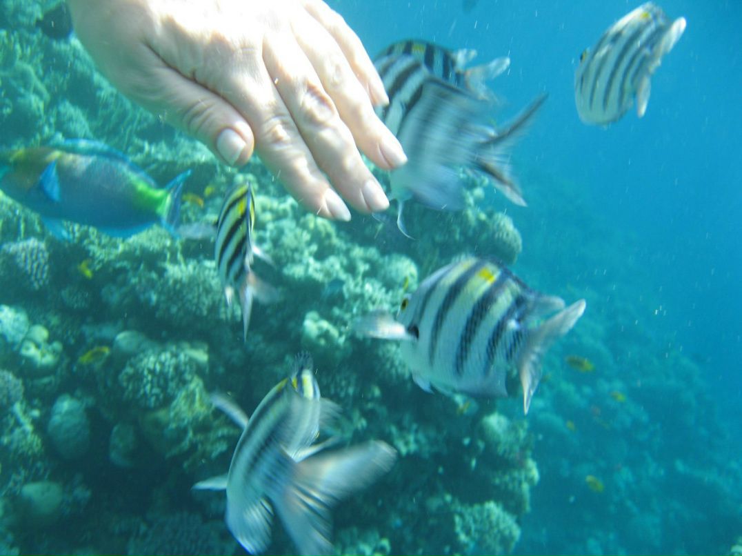 Надежда Кропачева | Киров