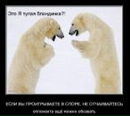 №15 Глеб Трофимов 16.09.1988: профиль, фото, статус - ВКонтакте №15 Глеб Трофимов 16.09.1988: профиль, фото, статус - ВКонтакте