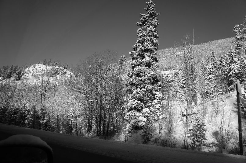 Zhanibek Issabekov | Караганда