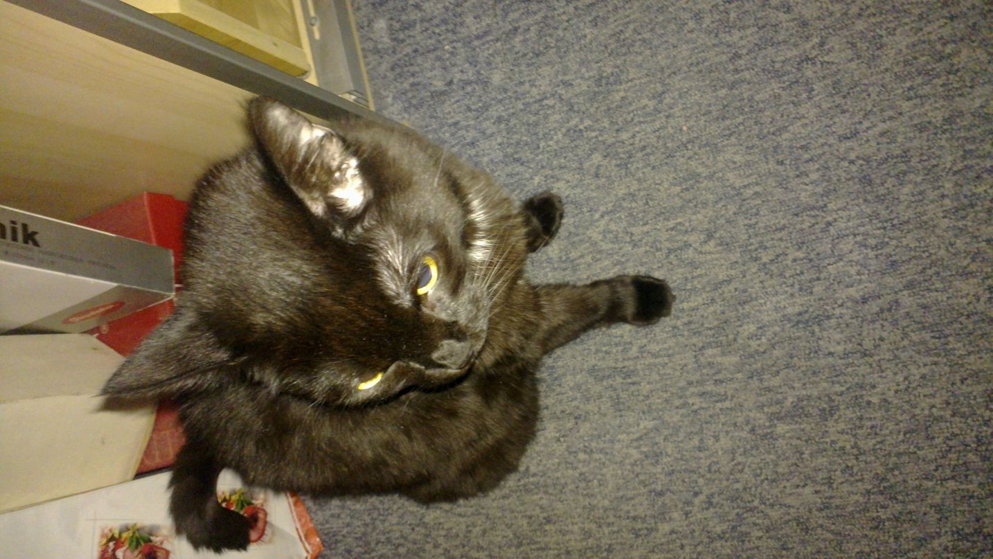 Евгений Коминов М@нЬЯ)К╬城ⅈ本 | Москва