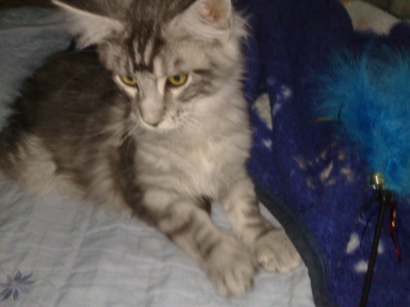 Сергей Бурин | Москва