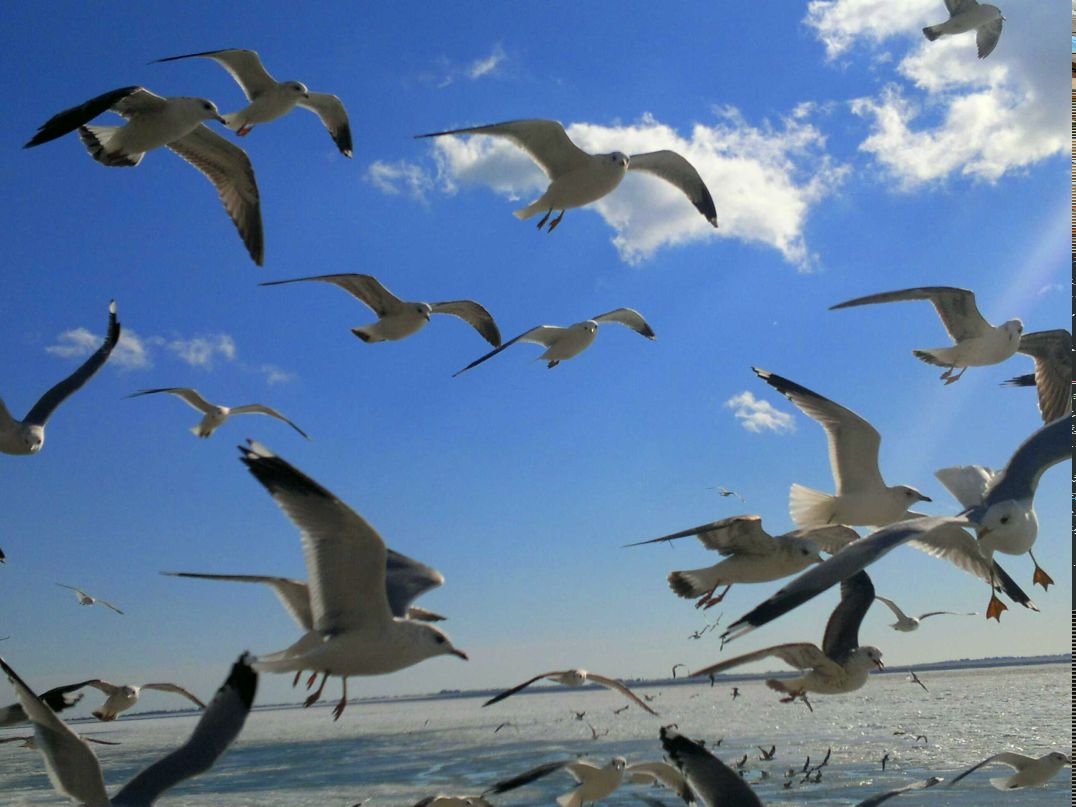 Евгений Бочковский | Запорожье