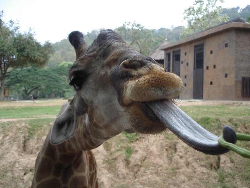 Катя Пугина | Иваново