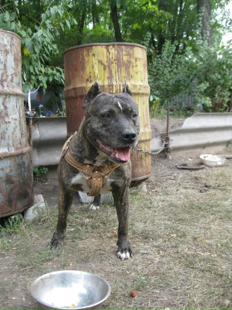 №13, Алена Трофименко, 36 лет, Днепр (Днепропетровск) №13, Алена Трофименко, 36 лет, Днепр (Днепропетровск)