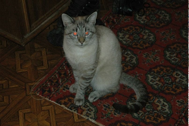 Димон Лямин ___DED___ | Серпухов