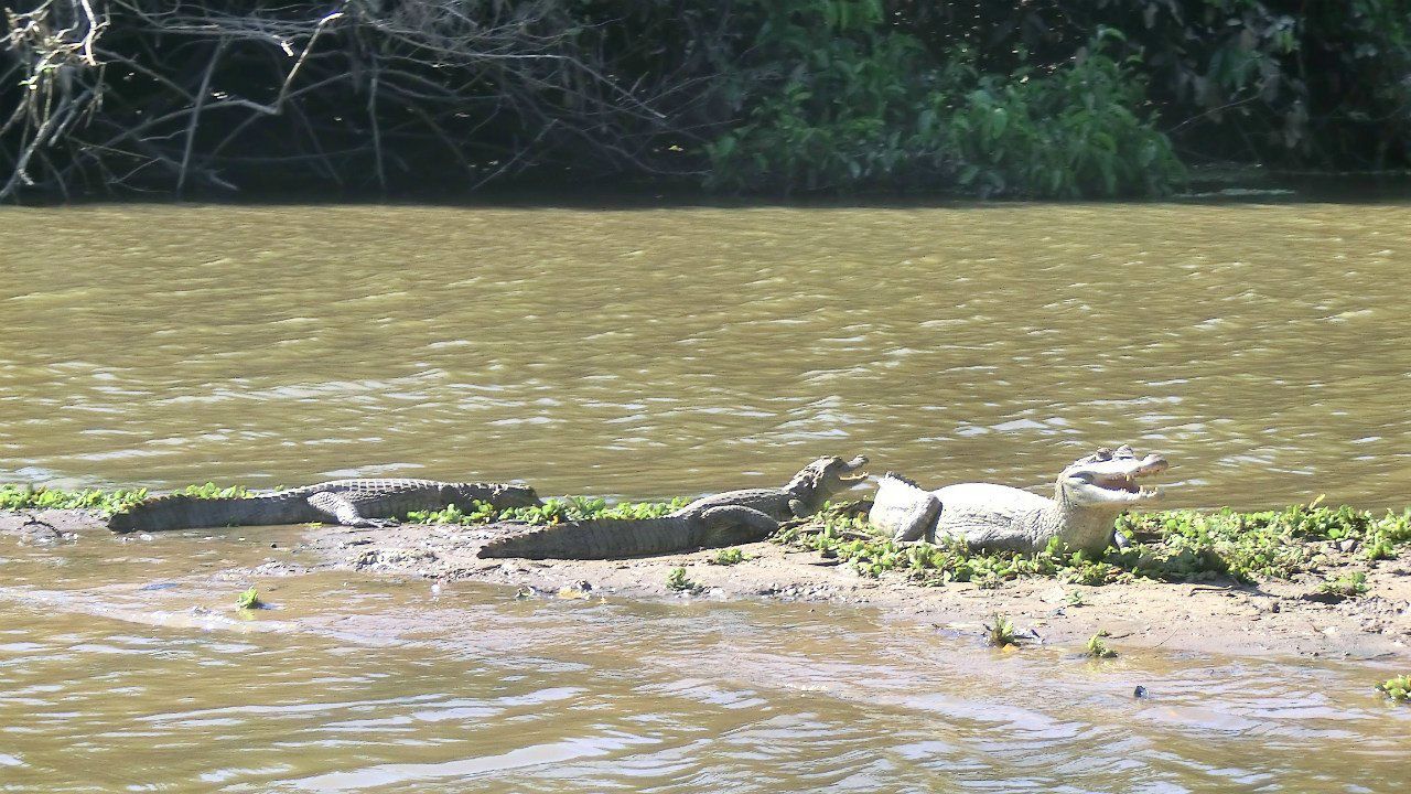 Виктория Иоаннидис | Москва