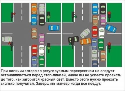 №83, Машка Кириченко, Adelaide №83, Машка Кириченко, Adelaide