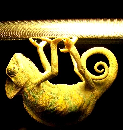 №67, Катерина Кушнир, 37 лет №67, Катерина Кушнир, 37 лет