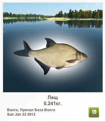 Татьяна Погодина | Москва