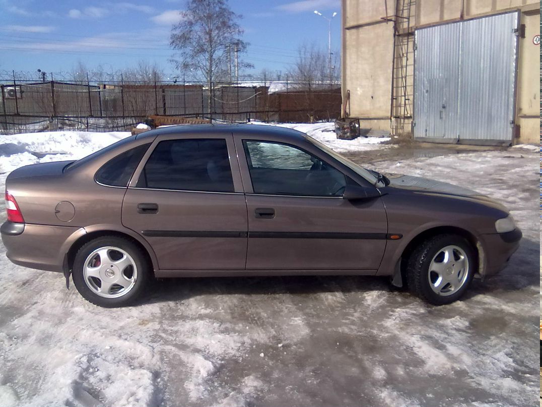 Серёга Белов | Санкт-Петербург