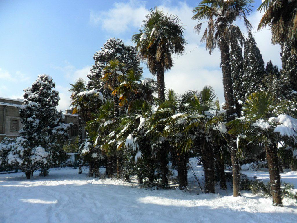 Сергей Пастушок Николаевич | Ялта