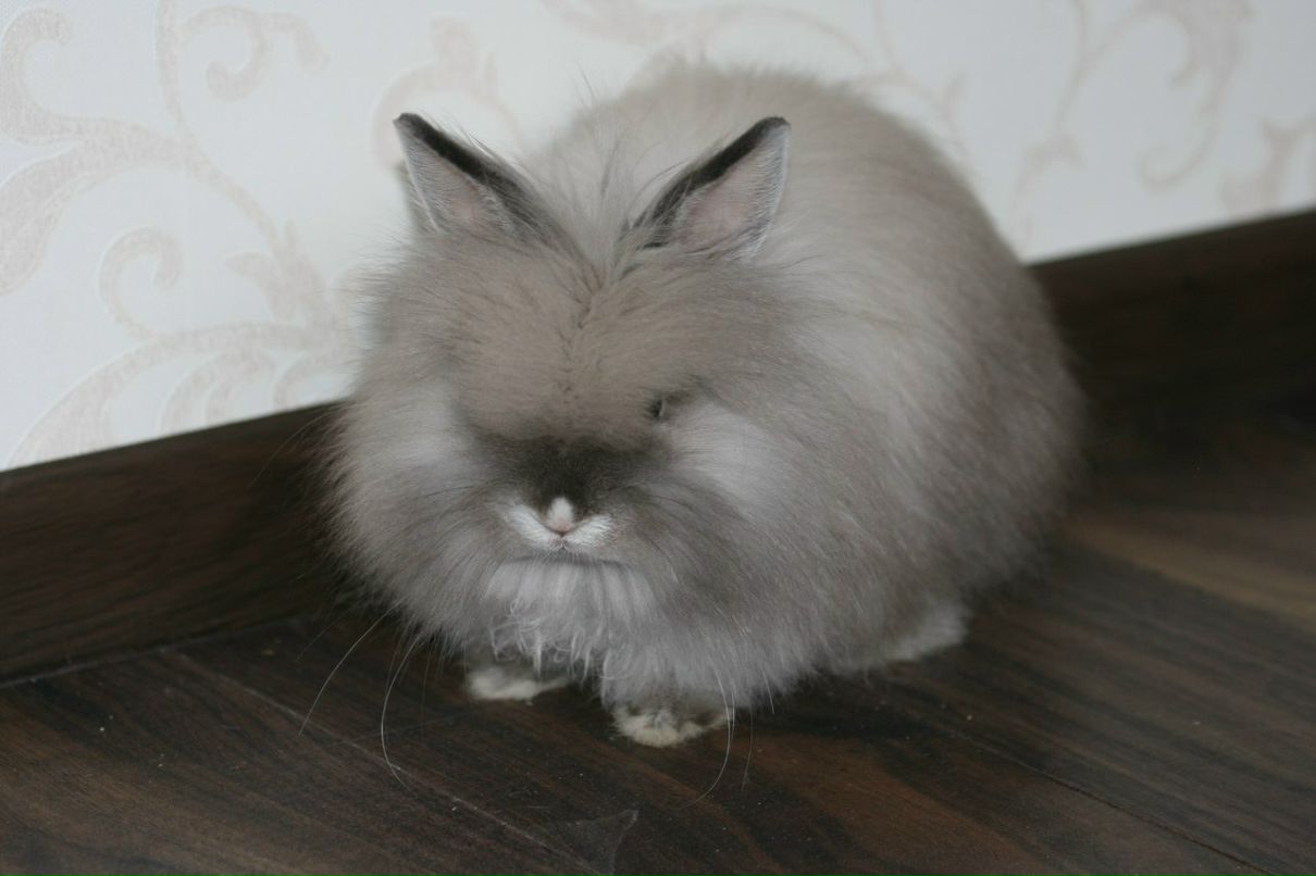 Елена Кузнецова | Санкт-Петербург