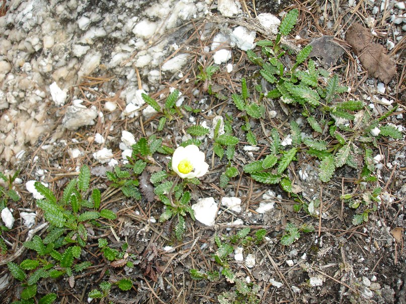 Людмила Павлова | Северодвинск