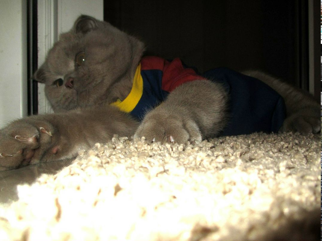 Marta Brizhan | Москва