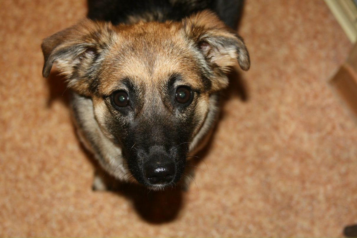 Маргарита Надыршина | Санкт-Петербург