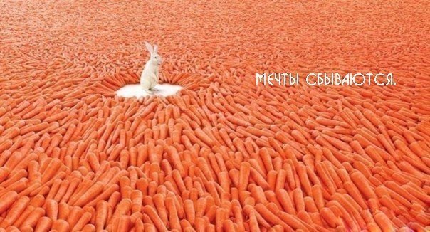 Dimjke Бычков | Москва