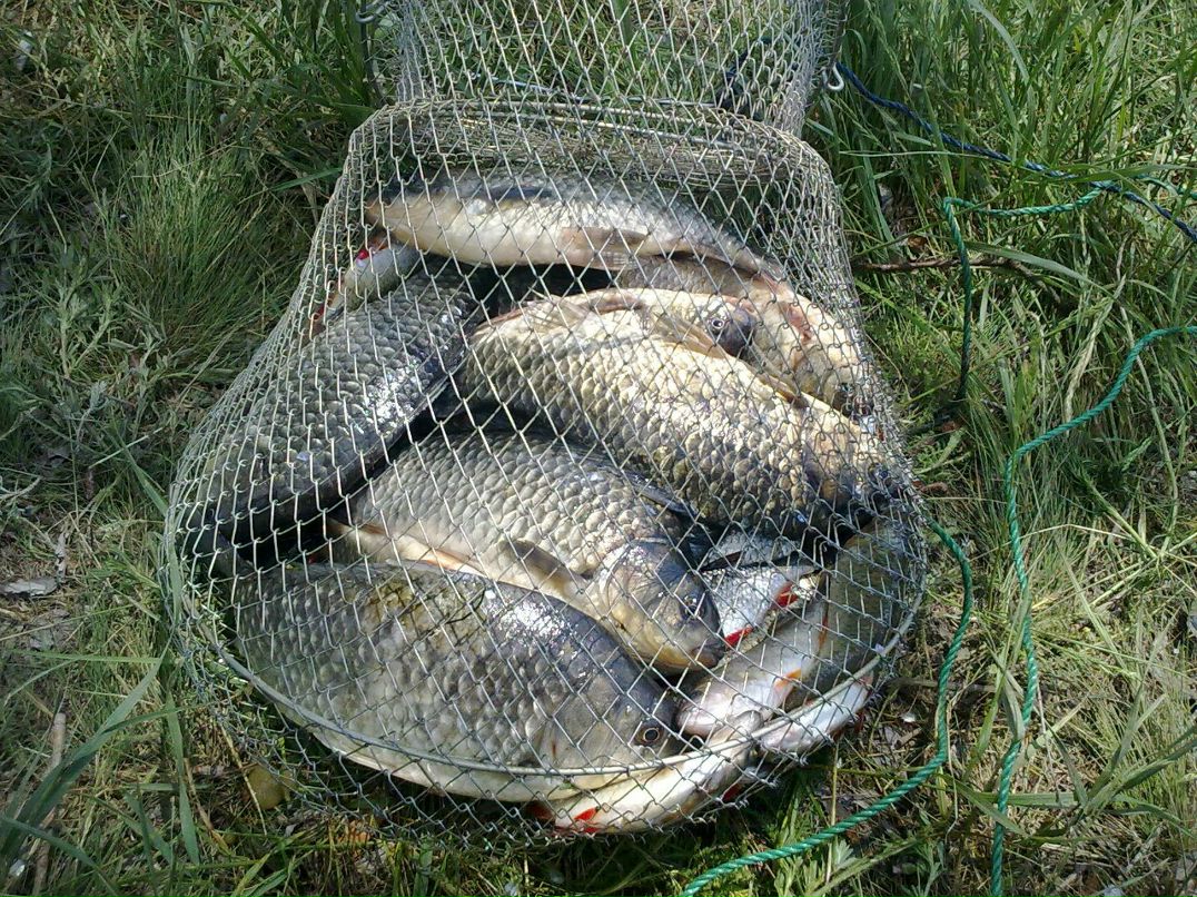 Дмитрий Третьяков tretyac | Лутугино