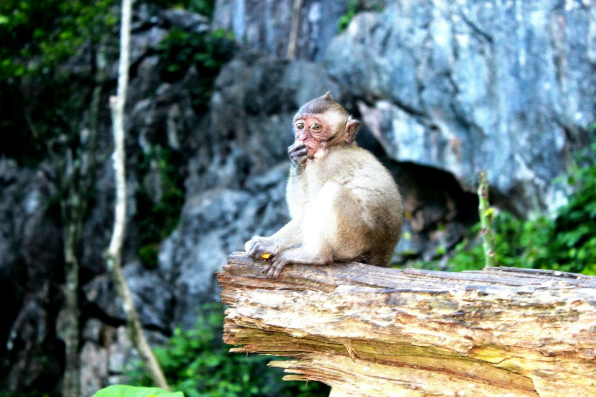 Алексей Воронин | Москва