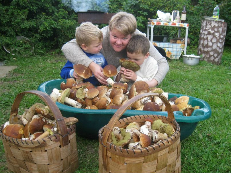 Сергей Чуйко | Кингисепп