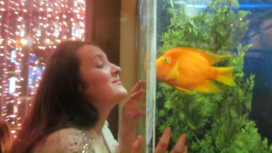 №152, Екатерина Барбашина, 37 лет, Москва №152, Екатерина Барбашина, 37 лет, Москва