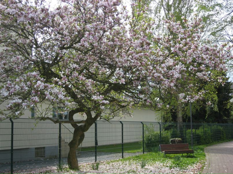 Олеся Орлова | 