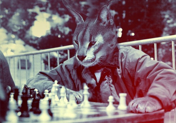 Алексей Павлов | Санкт-Петербург