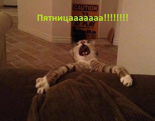 Эдуард Распопов Rased | Тольятти