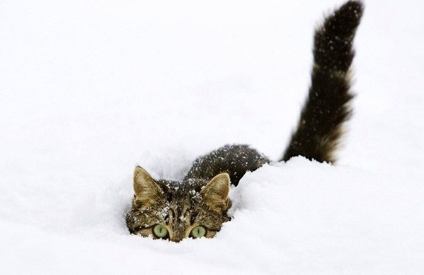 №7, Иван Кривцунов, 7.1.1989 №7, Иван Кривцунов, 7.1.1989