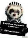 Фотография Коля Фомин