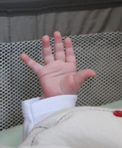 Татевик Карапетян | Linz