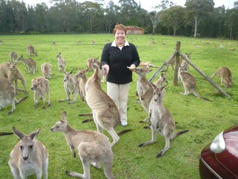 Ирина Дранник(Цыбульник) | Днепр (Днепропетровск)