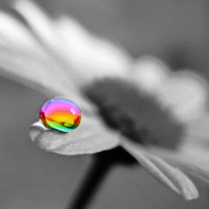 №12, Анастасия Бровкова, Усть-Лабинск №12, Анастасия Бровкова, Усть-Лабинск