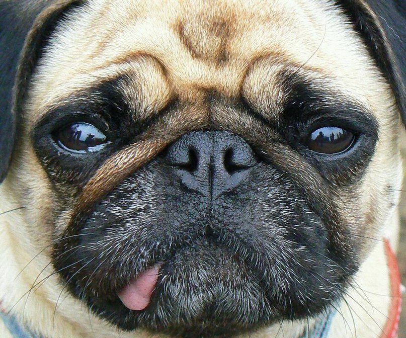 Игорь Евчик | Москва