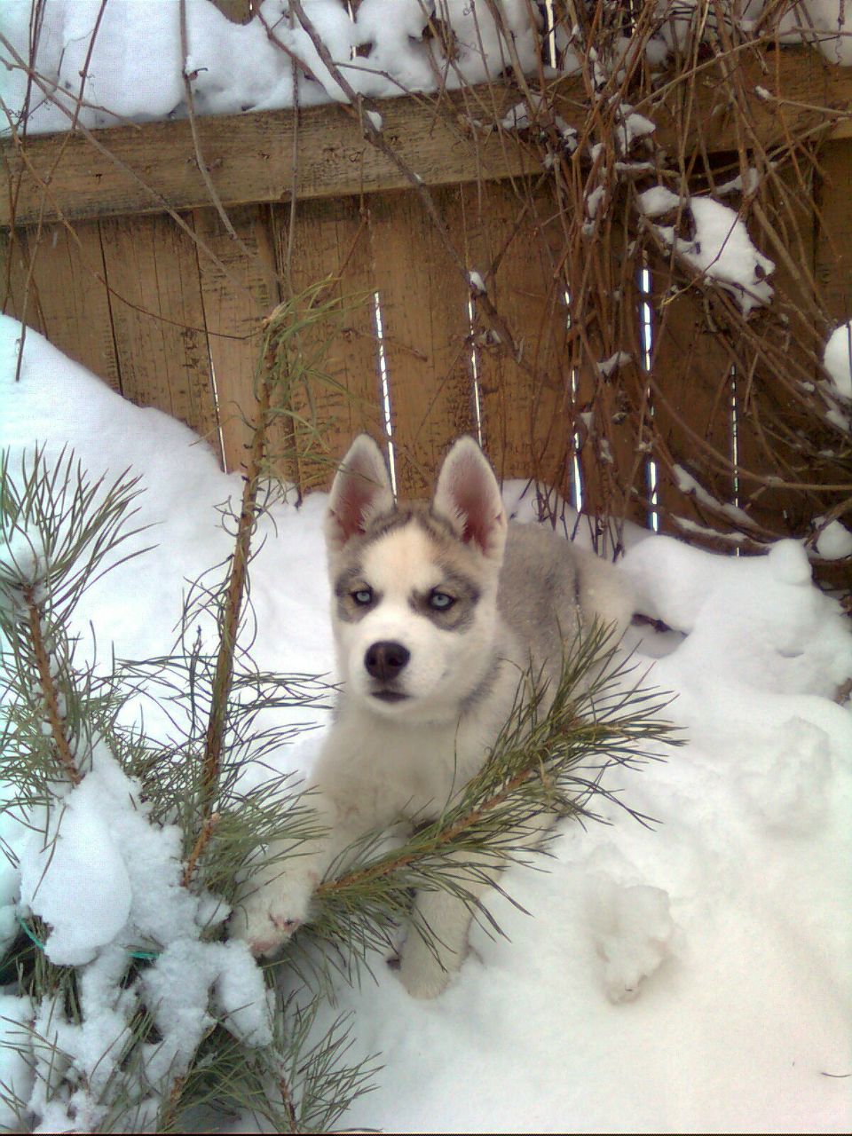 Азат Кузахметов | Москва