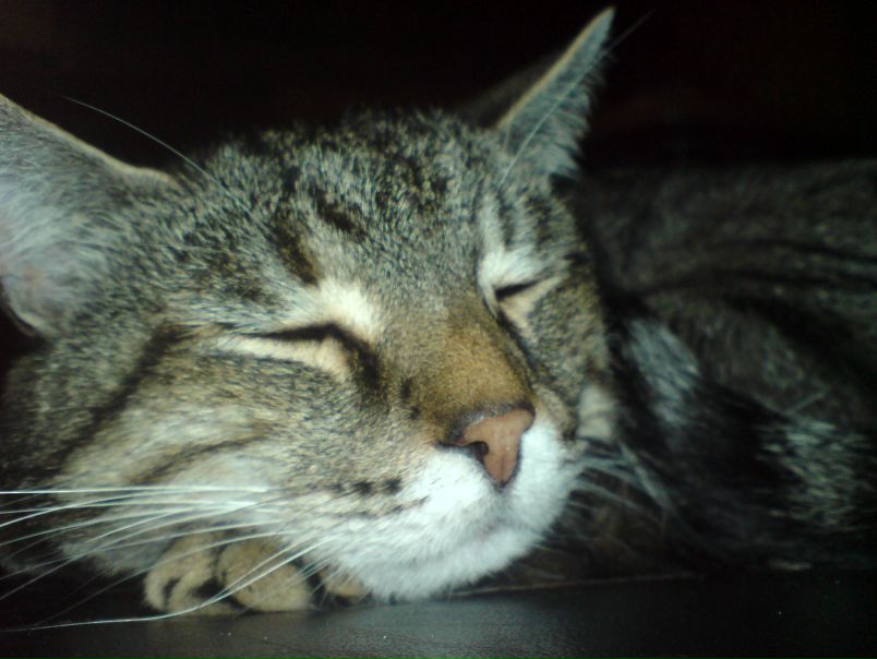 №189, Олексій Годзенко, 34 года, Киев №189, Олексій Годзенко, 34 года, Киев