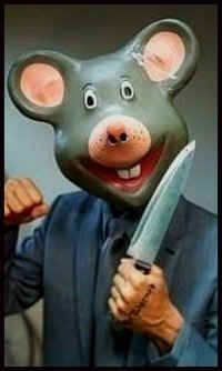 Павел Иванов | Санкт-Петербург