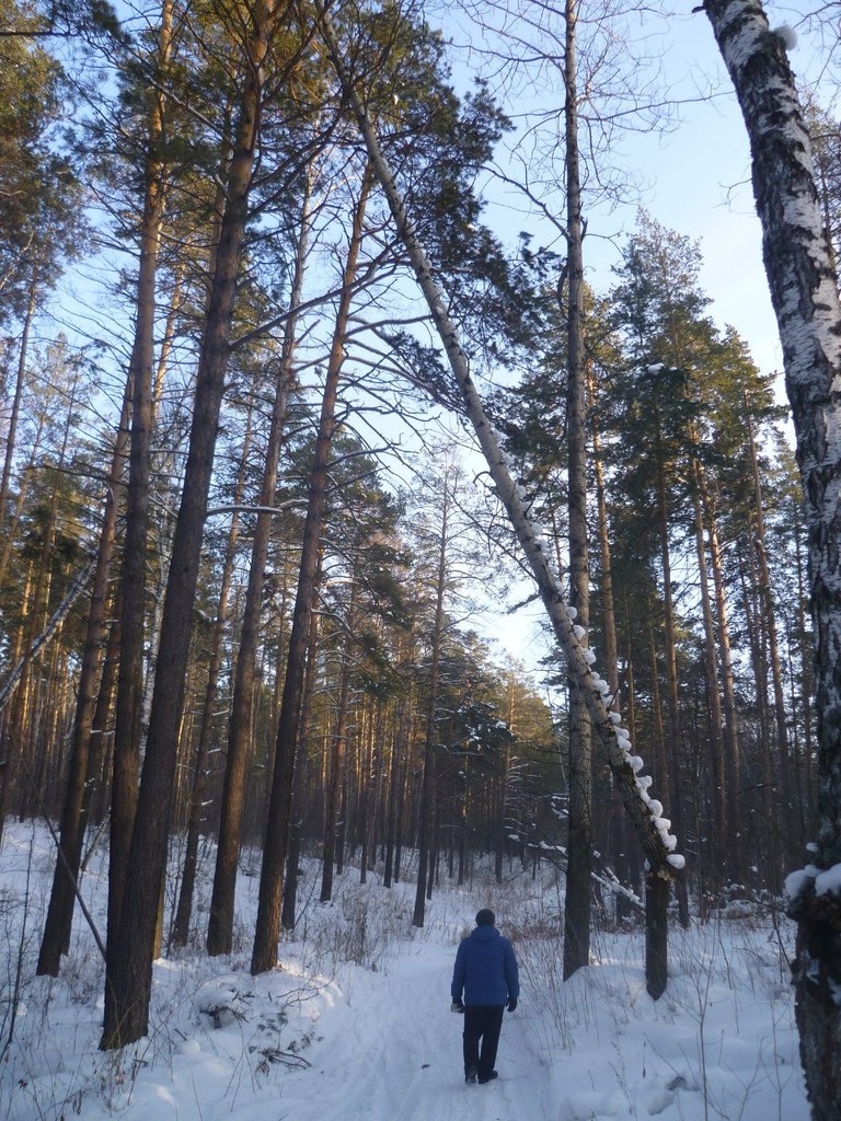 Артем Карабинников | Новосибирск