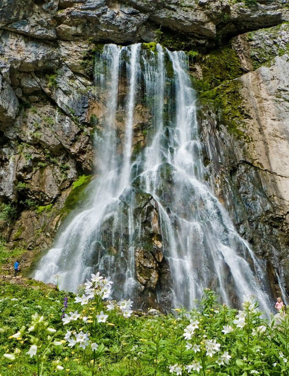 Астамур Салакая | Курган