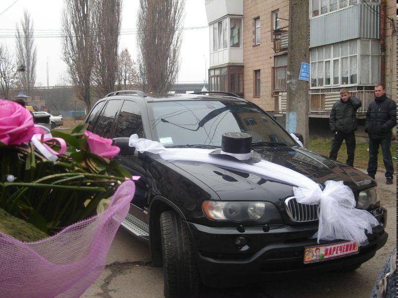 Олена Курець | Луцк