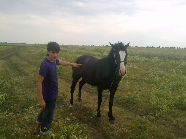 №51, Тимур Катяров, Москва №51, Тимур Катяров, Москва