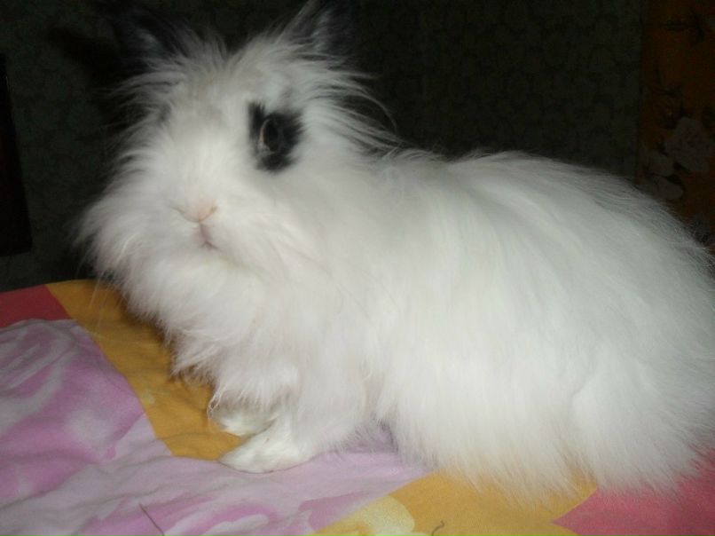 Ксения Гонзерова | Санкт-Петербург