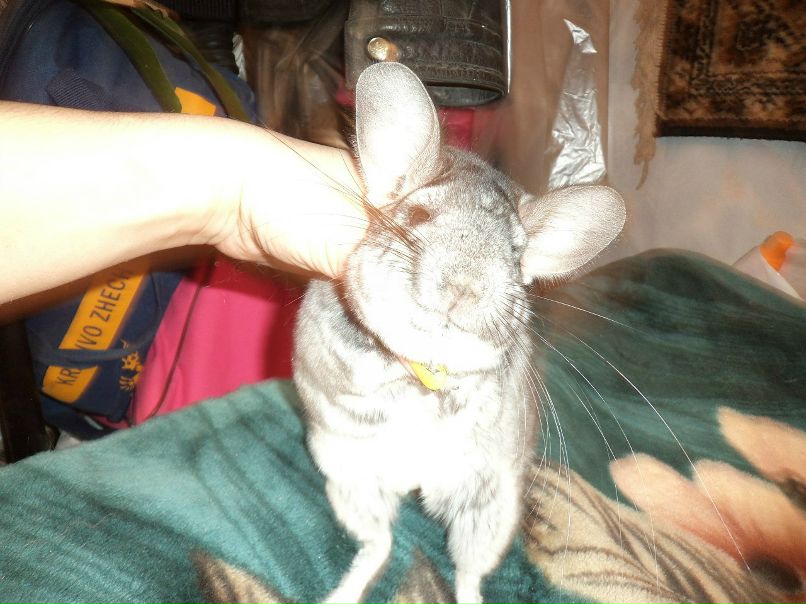 Ирина Сергеева | Пушкино