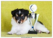 №22 Даша Сысолятина 27.02.1988: профиль, фото, статус - ВКонтакте