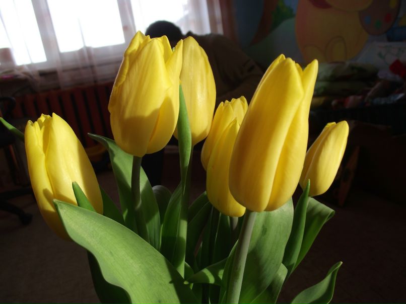 Наталья Берло | Мурманск